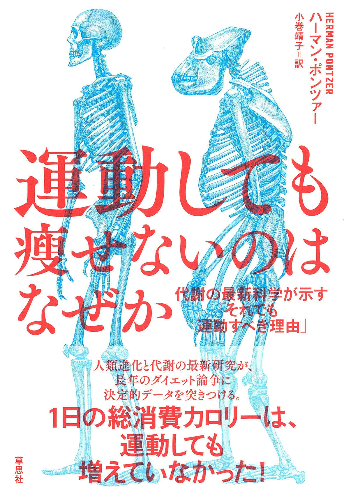 運動 し て も 痩せ ない