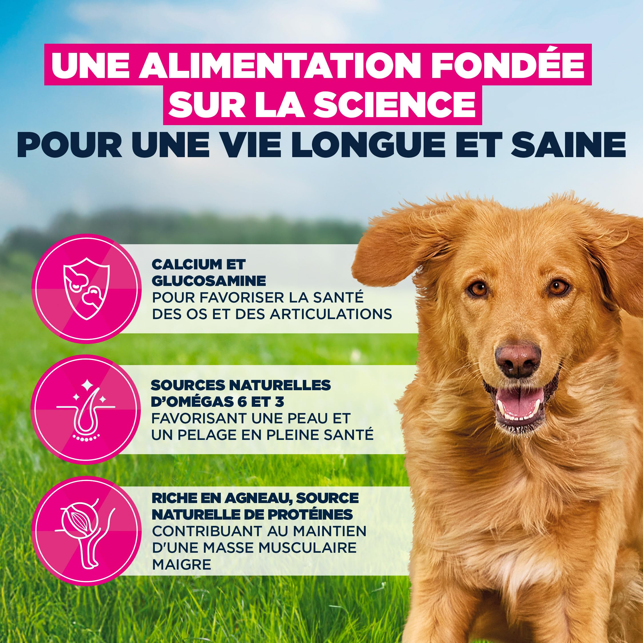 EUKANUBA Life Care Chien Adulte Grande Race Agneau Riz 12 kg