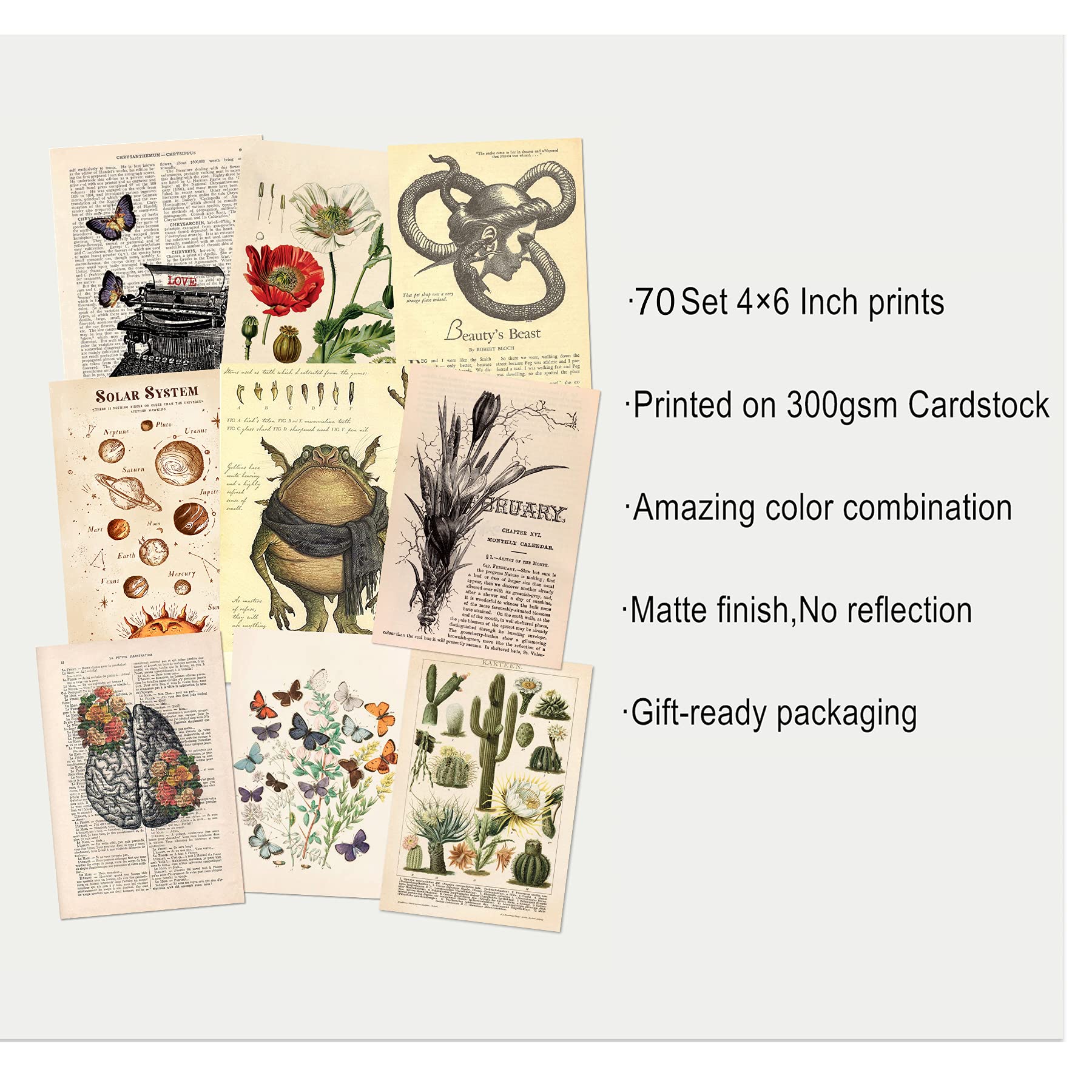 KOSKIMER 100PCS Vintage Wall Collage Kit Aesthetic Pictures, Posters for Room Aesthetic Vintage, Cottagecore Room Decor for Bedroom Aesthetic, Cute Dorm Photo Collage for Teen Girls, Botanical Wall