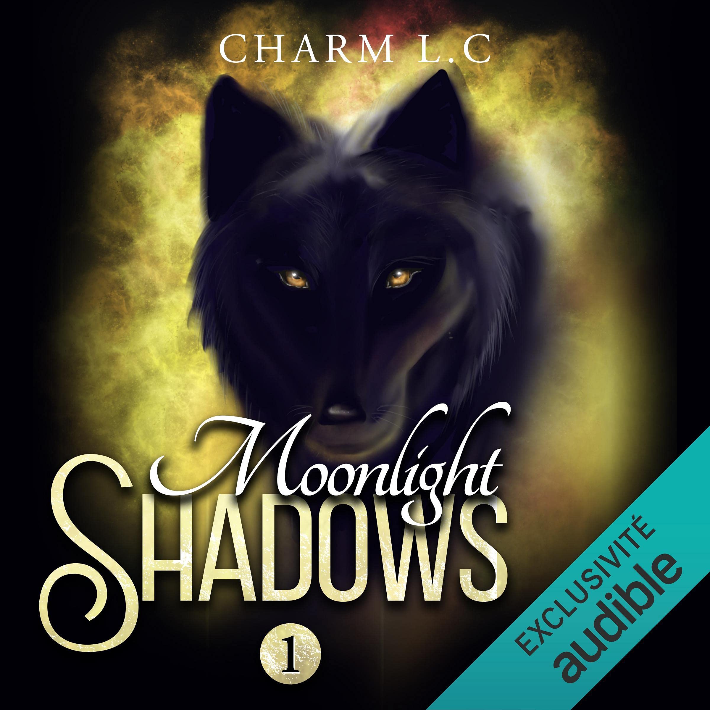 Cover art for Moonlight Shadows 1 [French Edition]
