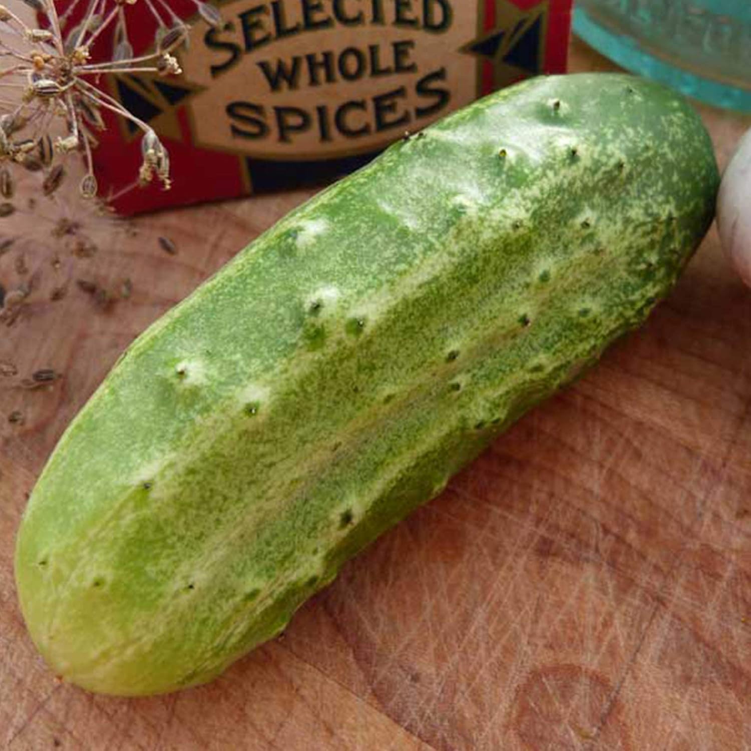 National Pickling Cucumber Seeds - 1 LB Bulk ~11,200 Seeds - Heirloom, Open Pollinated, Non-GMO, Farm & Vegetable Gardening Seed
