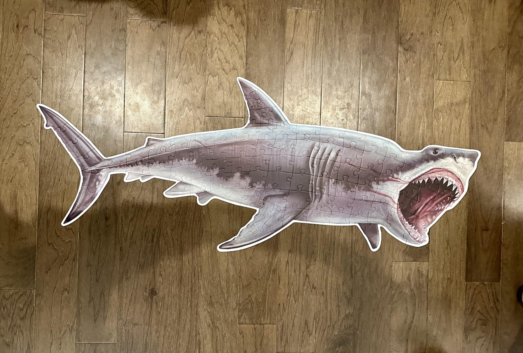 Shark Animal Anatomy Floor Puzzle | 100-Piece Double Sided Jigsaw