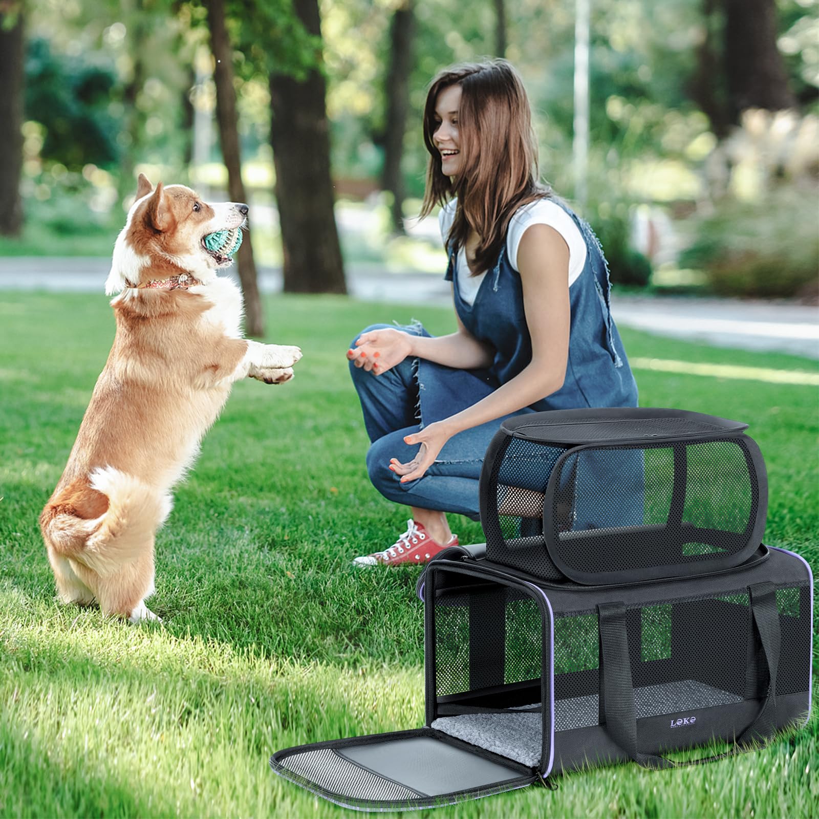 Hundetransporter Airline genehmigt Katze und Hund Carrier für kleine Hunde, Erweiterbare Transportbox für Haustiere von Fluggesellschaften zugelassen Katzentransportbox Reisetasche, Schwarz