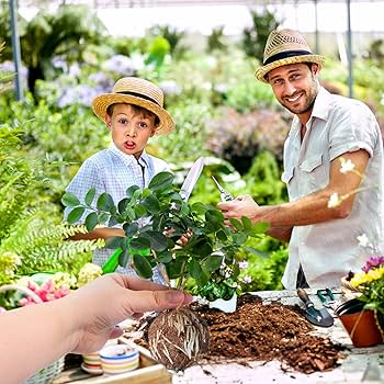 10 Pack Tree Root Growing Box, Rooting Ball Grafting Tools, Reusable High Pressure Tree Root Air Layering Propagation Kit Propagator Pot | IE