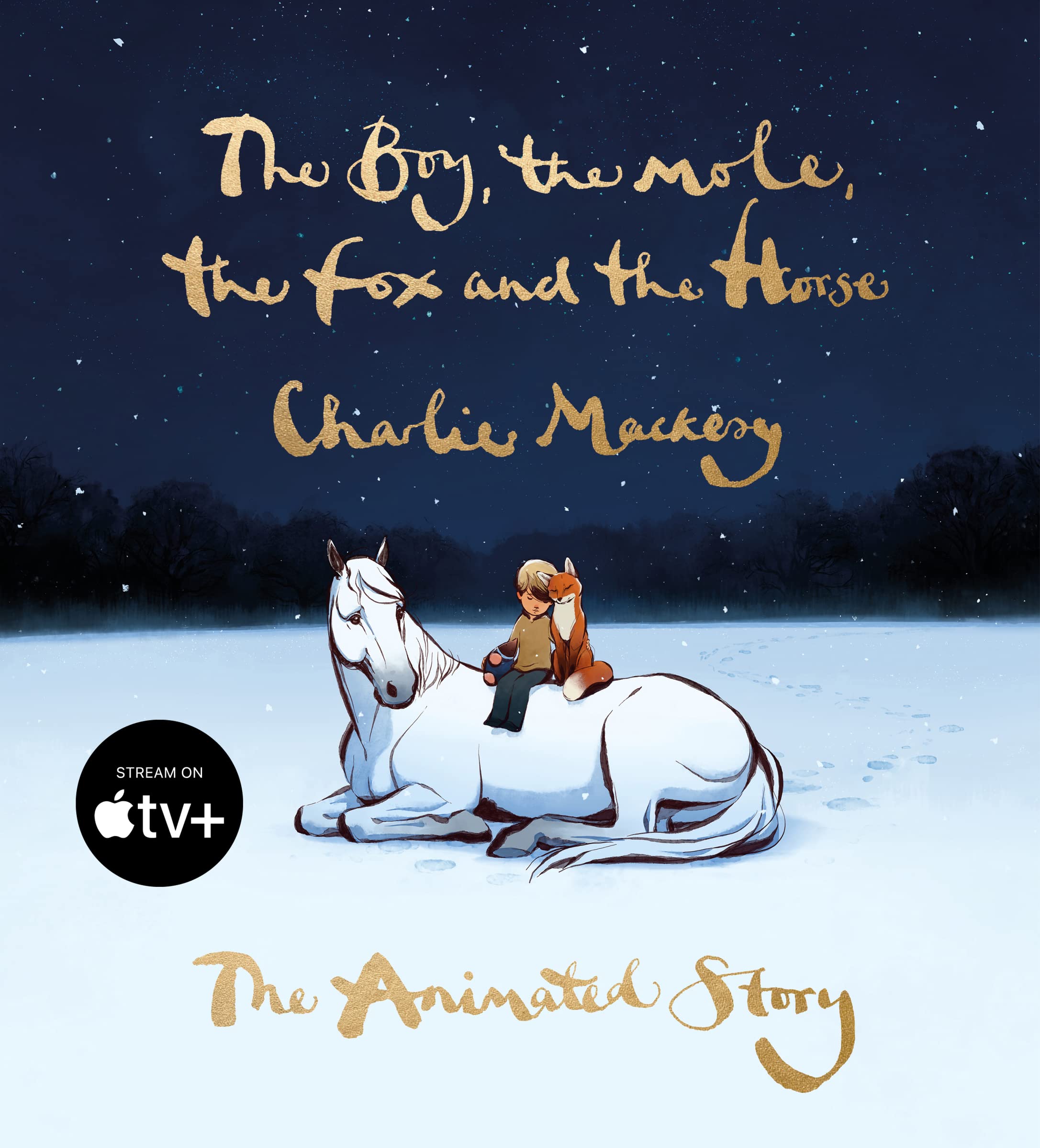Livre The Boy the Mole the Fox and the Horse version animee recit inspirant