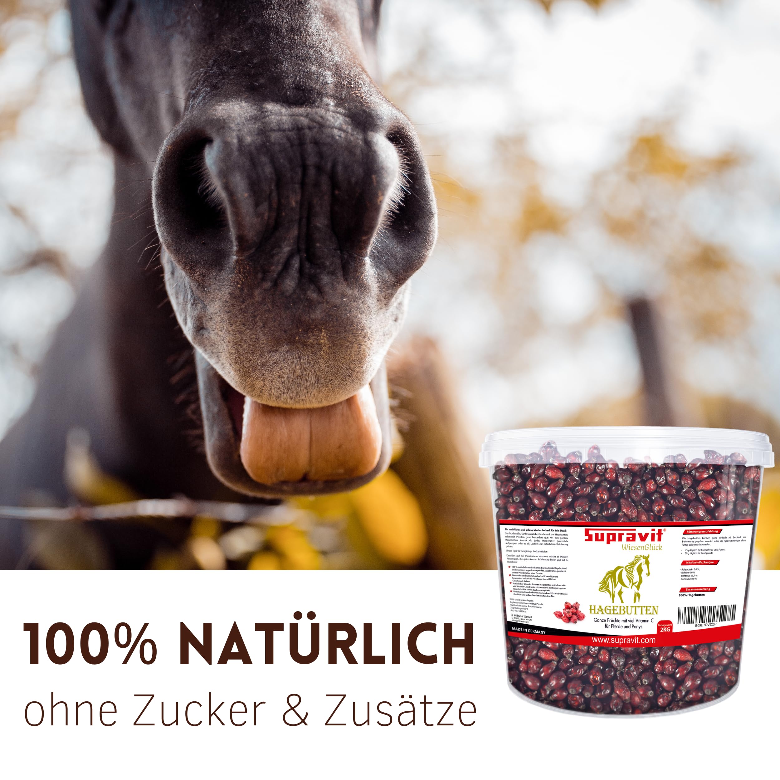 Supravit Hagebutten Pferd | Mit viel Vitamin C für Pferde und Ponys | 2kg Eimer I Ganze getrocknete Früchte - natürliche Pferdeleckerlis ohne Zucker | Erstklassige Qualität