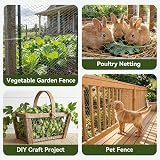 AMAGABELI GARDEN & HOME Chicken Wire 13.7 in x – Garden fence and barrier use