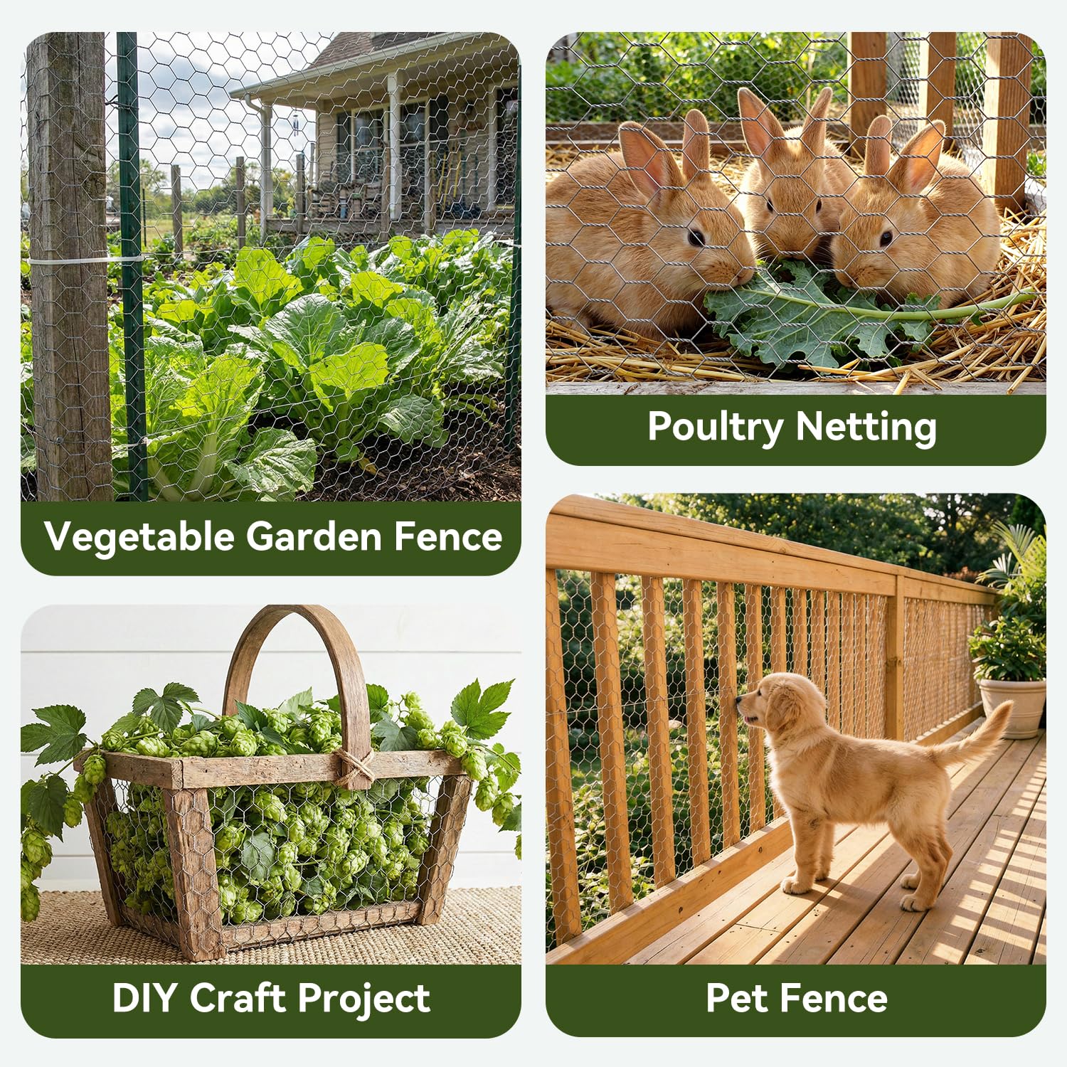 Amagabeli 16in x 82ft Chicken Wire Fencing Garden Netting Poultry Wire Hexagonal Galvanized Mesh Roll Dog Barrier for Pet Rabbit Bird Raised Bed Vegetable Cattle Panels for Plant Trellis Craft