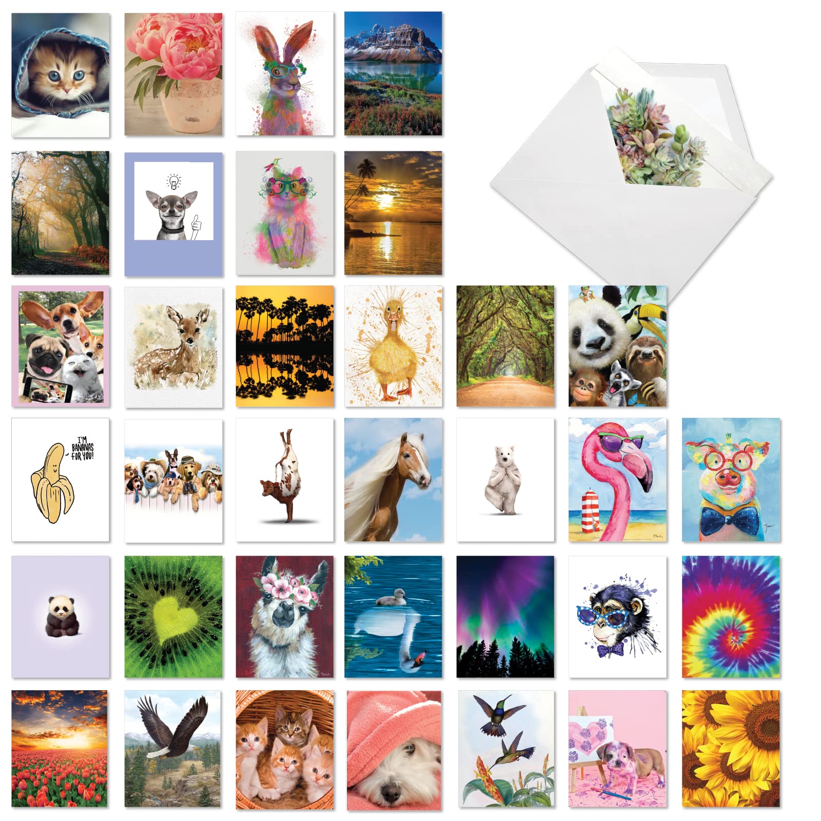 The Best Card Company - Lot de 36 cartes assorties de 10,2 x 13,5 cm avec enveloppes (36 motifs, 1 chaque), carte de gratitude en vrac – Many Smiles AM7754TYG-B1x36