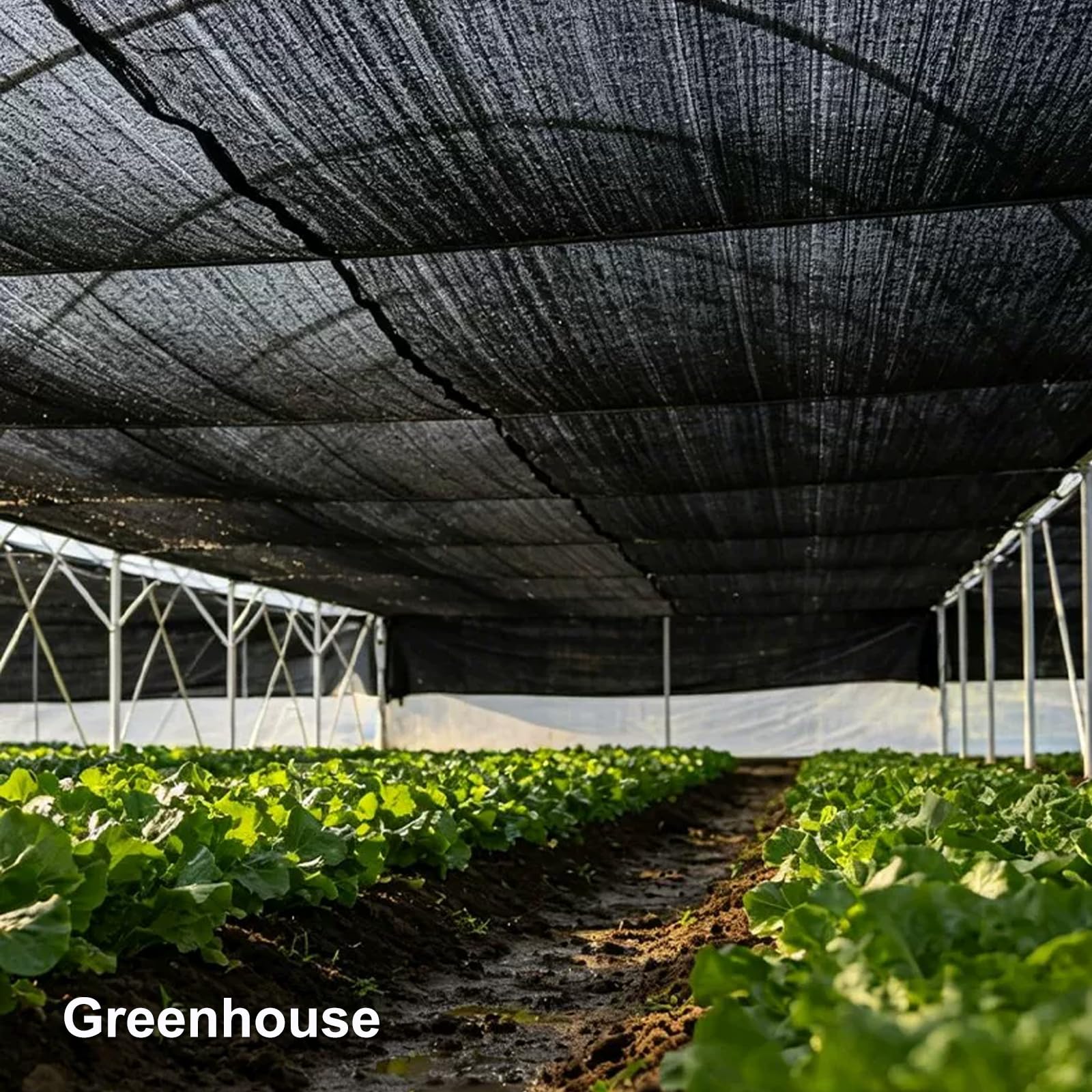 Malla Sombreadora con Ojales,Solar Sombra Paño del 97%,Malla de Protección Solar Transpirable,Shading Net de Privacidad,para Jardines Flores y Plantas,Color Negro (5x10m)