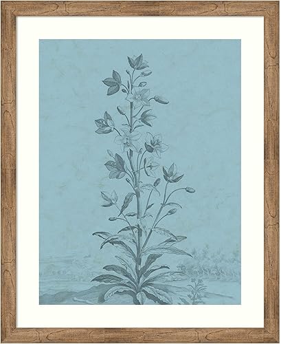 Amanti Art Framed Wall Art Print 44x36 Botanical on Teal II by Vision Studio, Flowers Wall Art, Vintage Decor, X-Large Poster Painting Artwork for