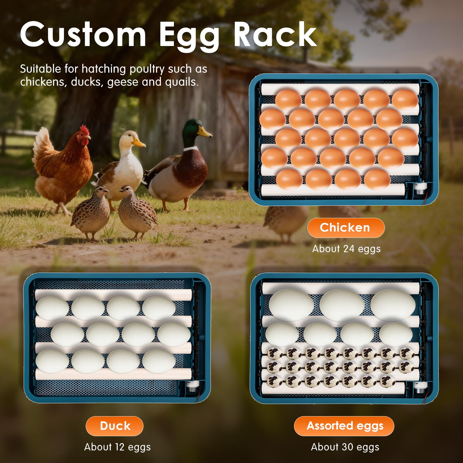 Incubadoras para incubar huevos, incubadora de 24 huevos con volteo automático y control de temperatura, llenado automático de agua, diseño de ventilación para gallinas, codornices y huevos de aves