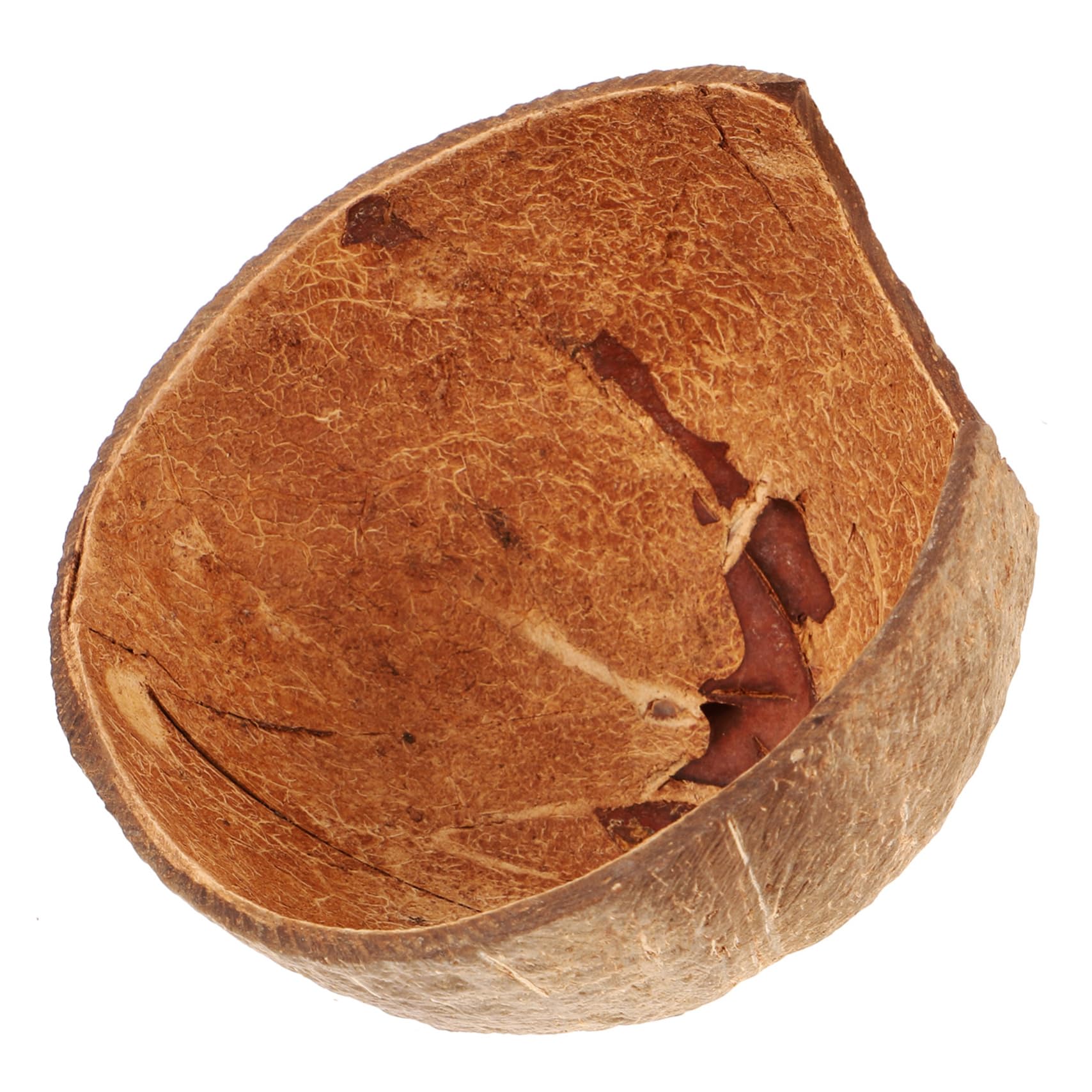 BCOATH Coconut Shell Hideout for Reptiles Natural Habitat Accessory for Leopard Gecko Hermit Crab Snakes and Spiders Decorative Climbing Tunnel and Shelter for Terrarium