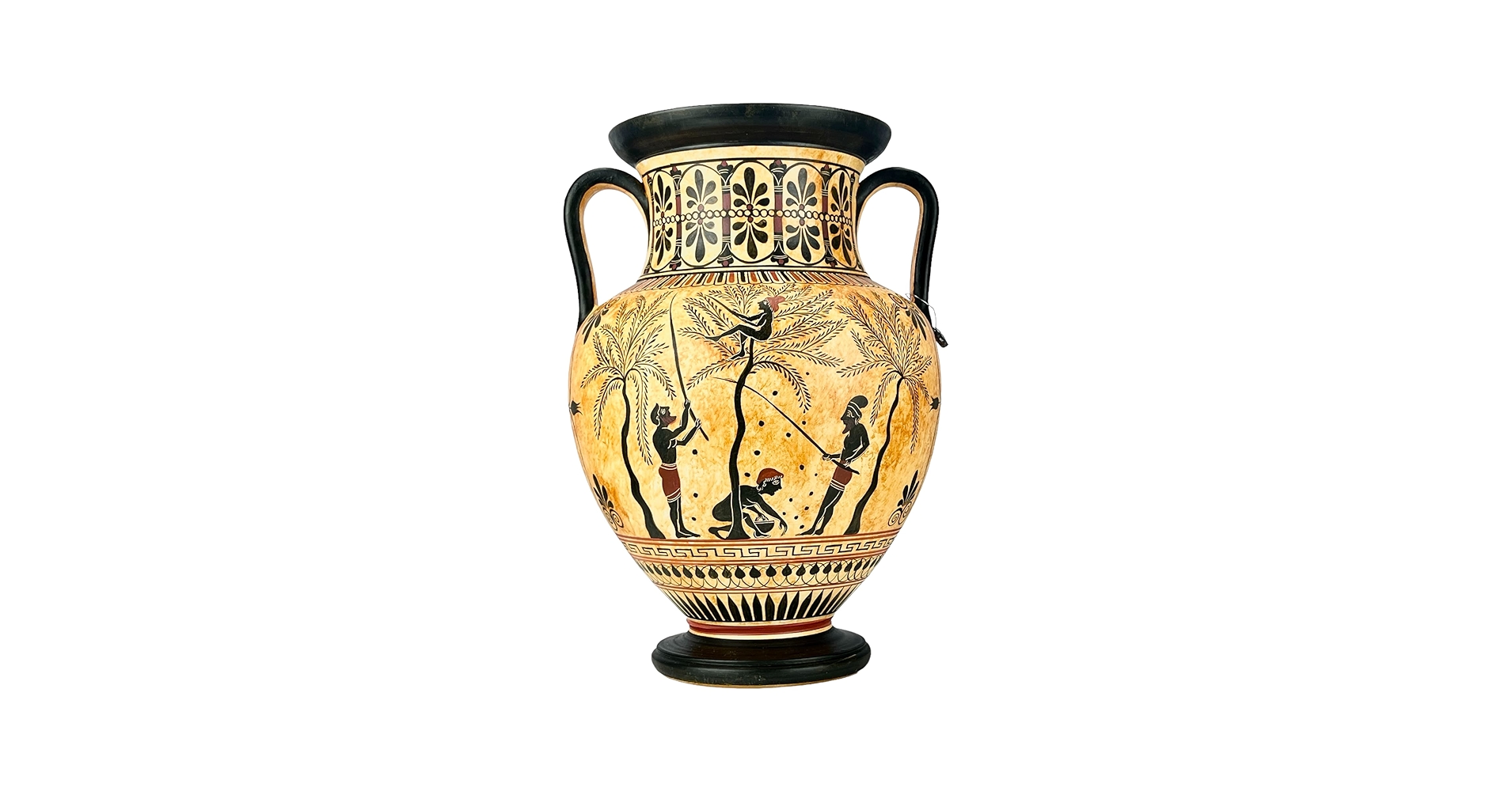 Amazon.co.jp: Amphora オリーブの集まり ヘラクレス