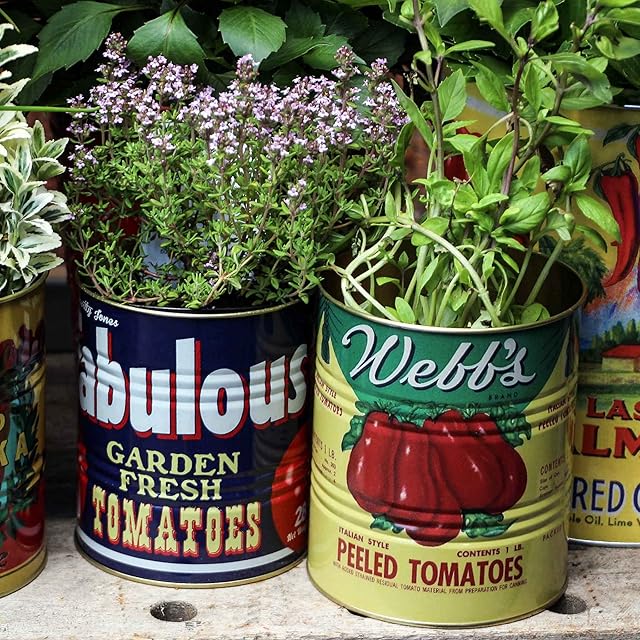 salt and pepper interiors Retro Vintage Storage Tins Set of 2 Round Canister Jar Food Utensils Table Decor (Tomato Set)