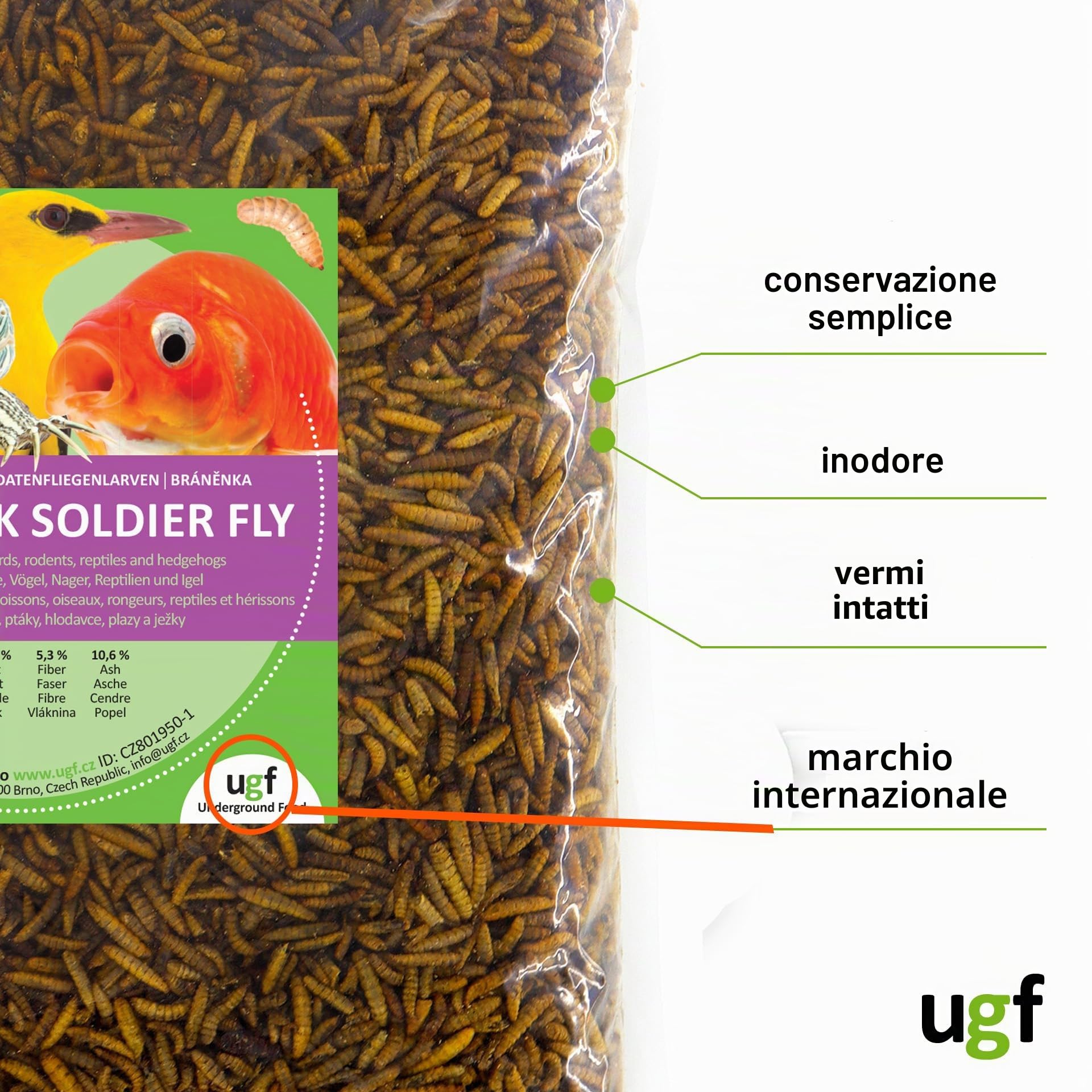UGF - Hermetia Meglio dei vermi secchi della farina (1 kg) - 85 volte più calcio rispetto ai vermi vivi - bocconcini BSFL per uccelli selvatici, tartarughe, ratti, ricci - larve di soldati essiccati