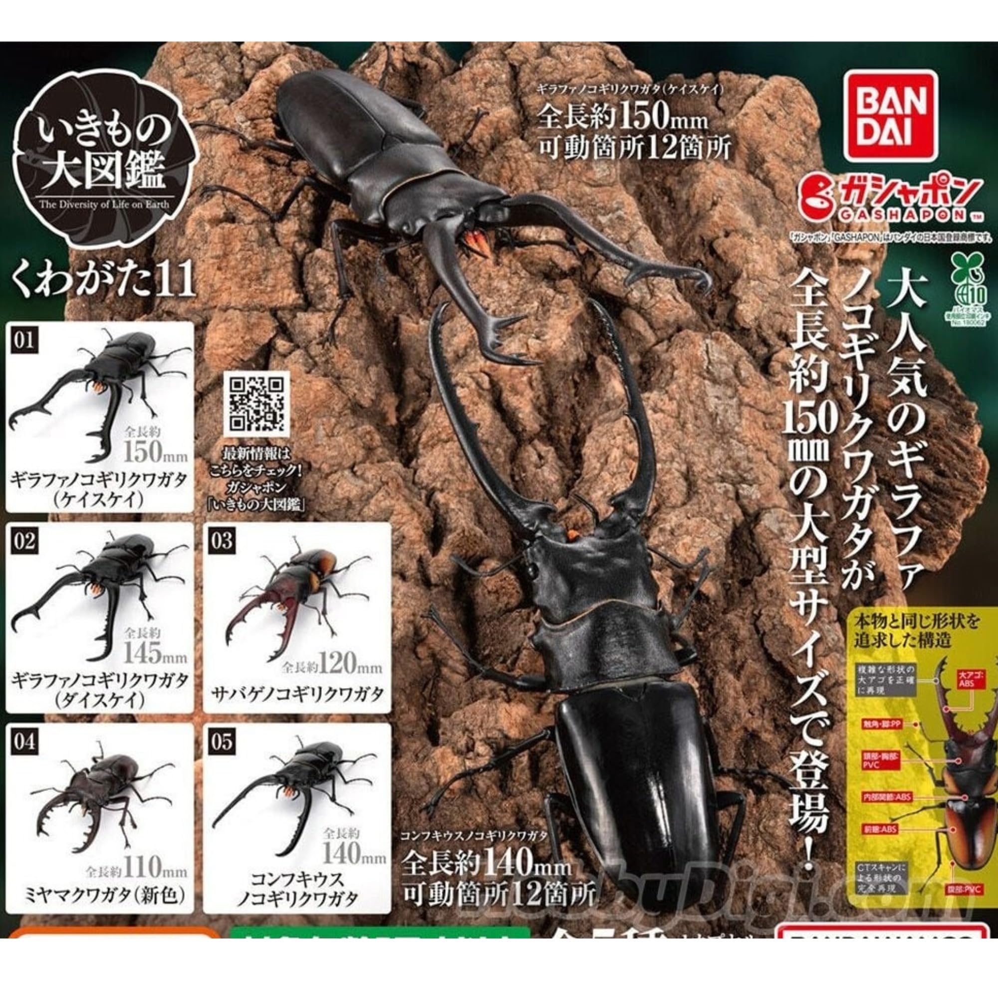 Amazon | BANDAI いきもの大図鑑 くわがた11 × 全5種セット フルコンプ