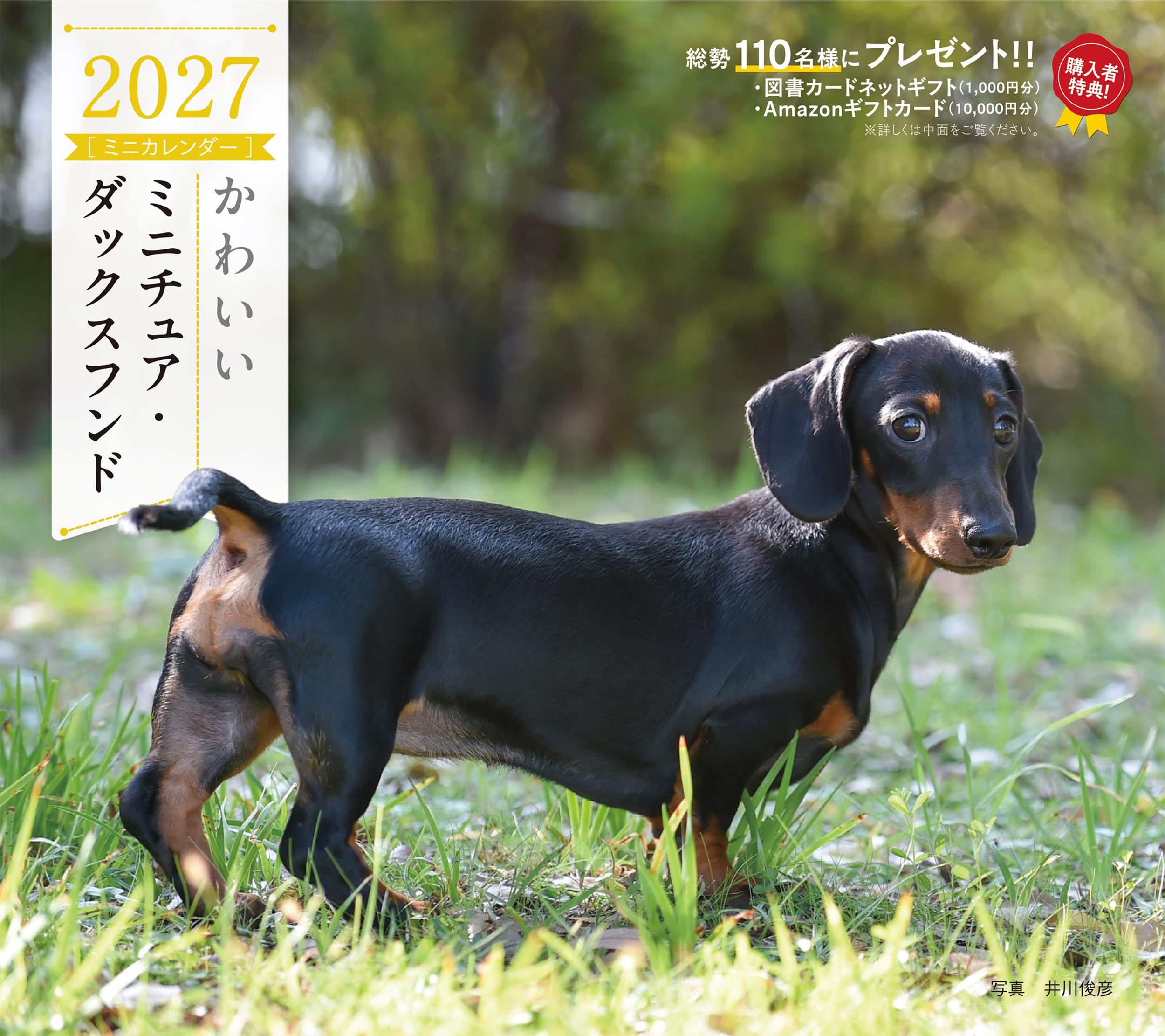 2027年カレンダー かわいいミニチュア・ダックスフンド (誠文堂新光社