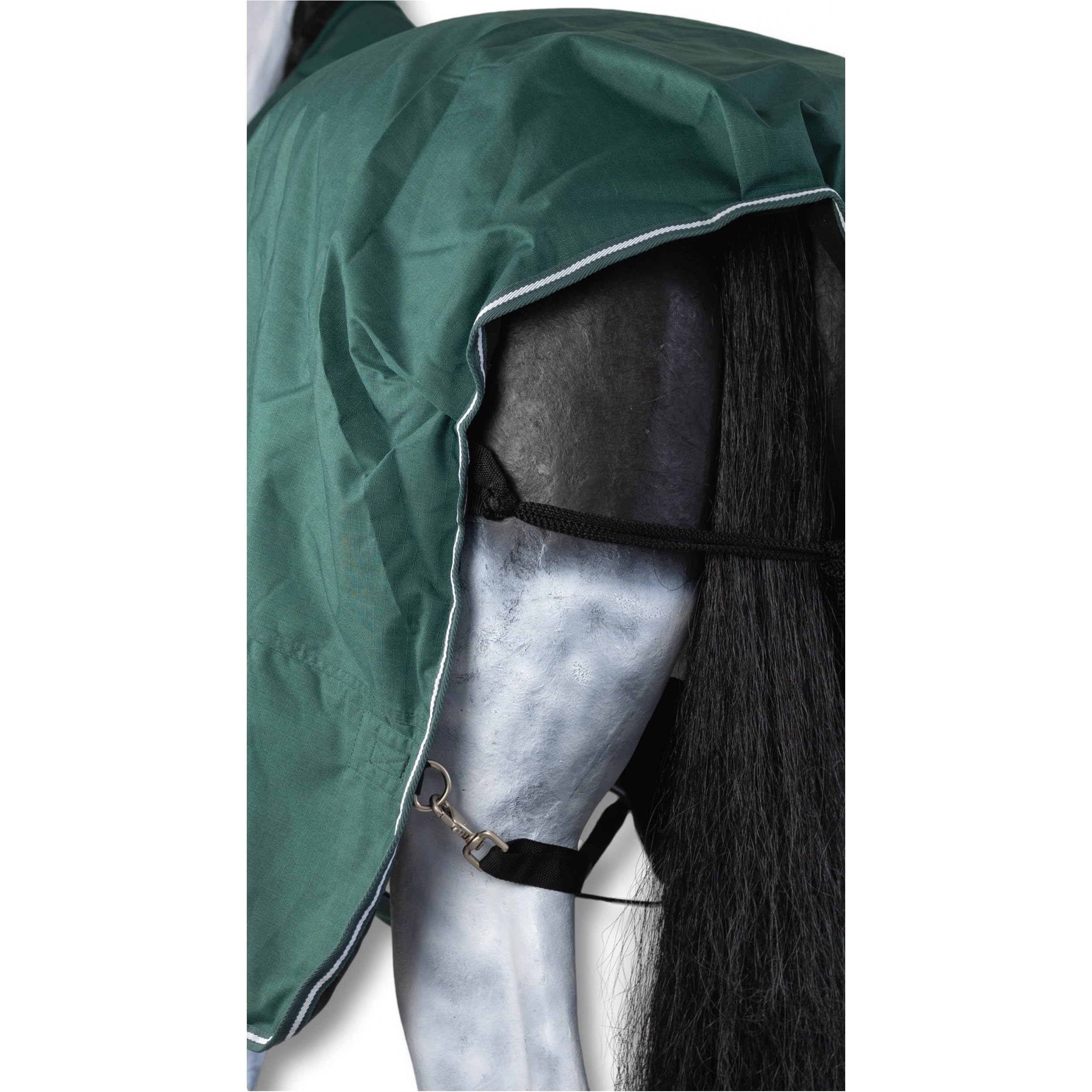 Marengos - Führanlagendecke Comfort | Führmaschinendecke mit Fleece-Innenfutter | Longierdecke mit Kreuzgurten | wasserdicht & atmungsaktiv | Pferdedecke in tannengrün 145 cm & 100g/m² Füllung | Führmaschinendecke mit Fleece-Innenfutter – Longierdecke mit