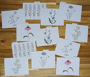 AEONCARD 50visuals special box 当選品 シリアル Phasemation PP-500/EMT HSD-006(Silver）MCカートリッジ、Pro