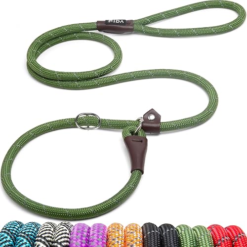 Fida Durable Slip Lead Dog Leash, 6 FT x 1/2' Dog Training Leash, Green