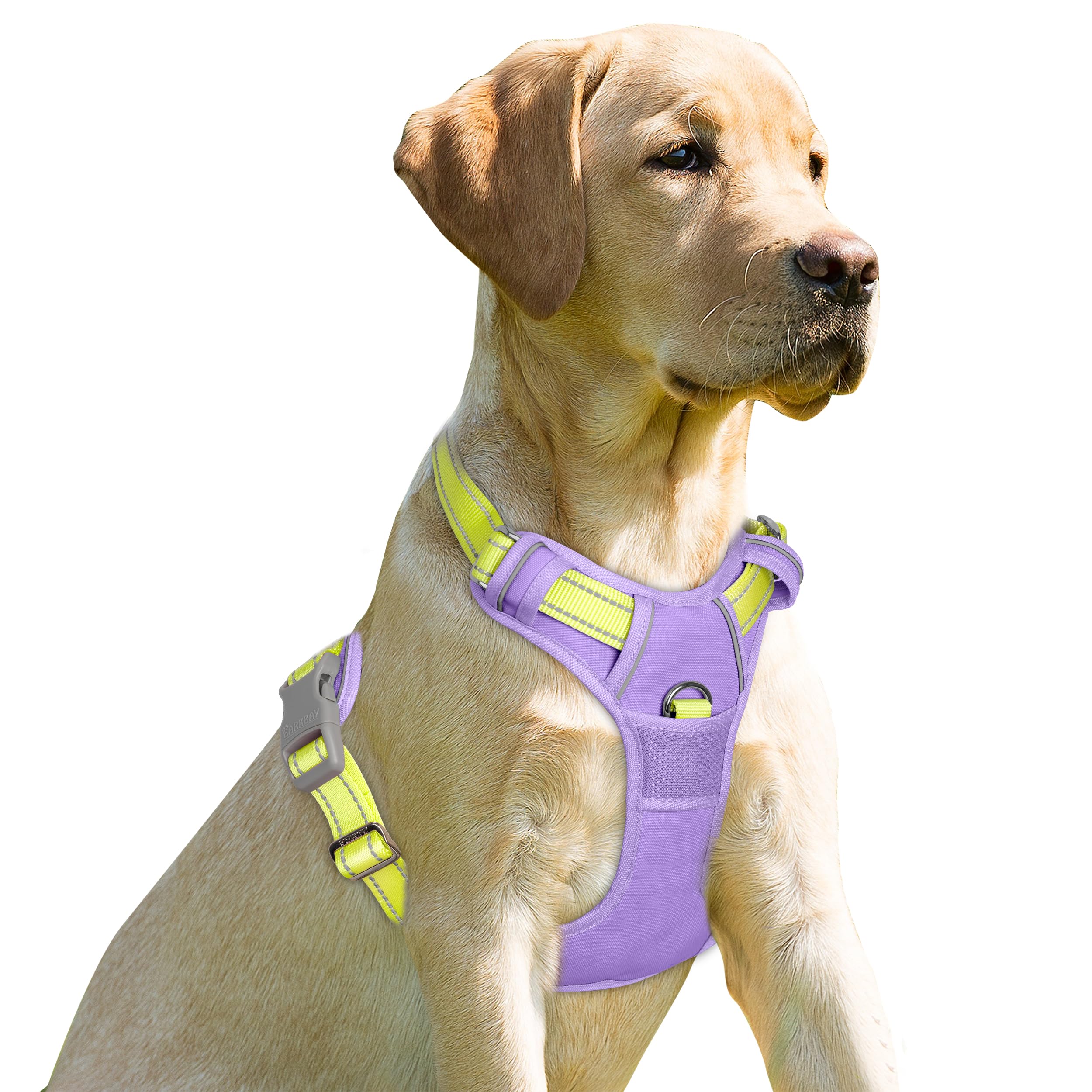 BARKBAY No Pull Dog Harness Front Clip Heavy Duty Reflective Easy Control Handle for Large Dog Walking(Violet Purple & Sunlight,M) โ image 1