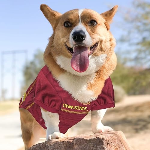 Miniatura 21 de Pets First Camiseta de malla para perros o gatos, talla XXL, camiseta con licencia para perro grande de tu equipo favorito (fútbol o baloncesto)