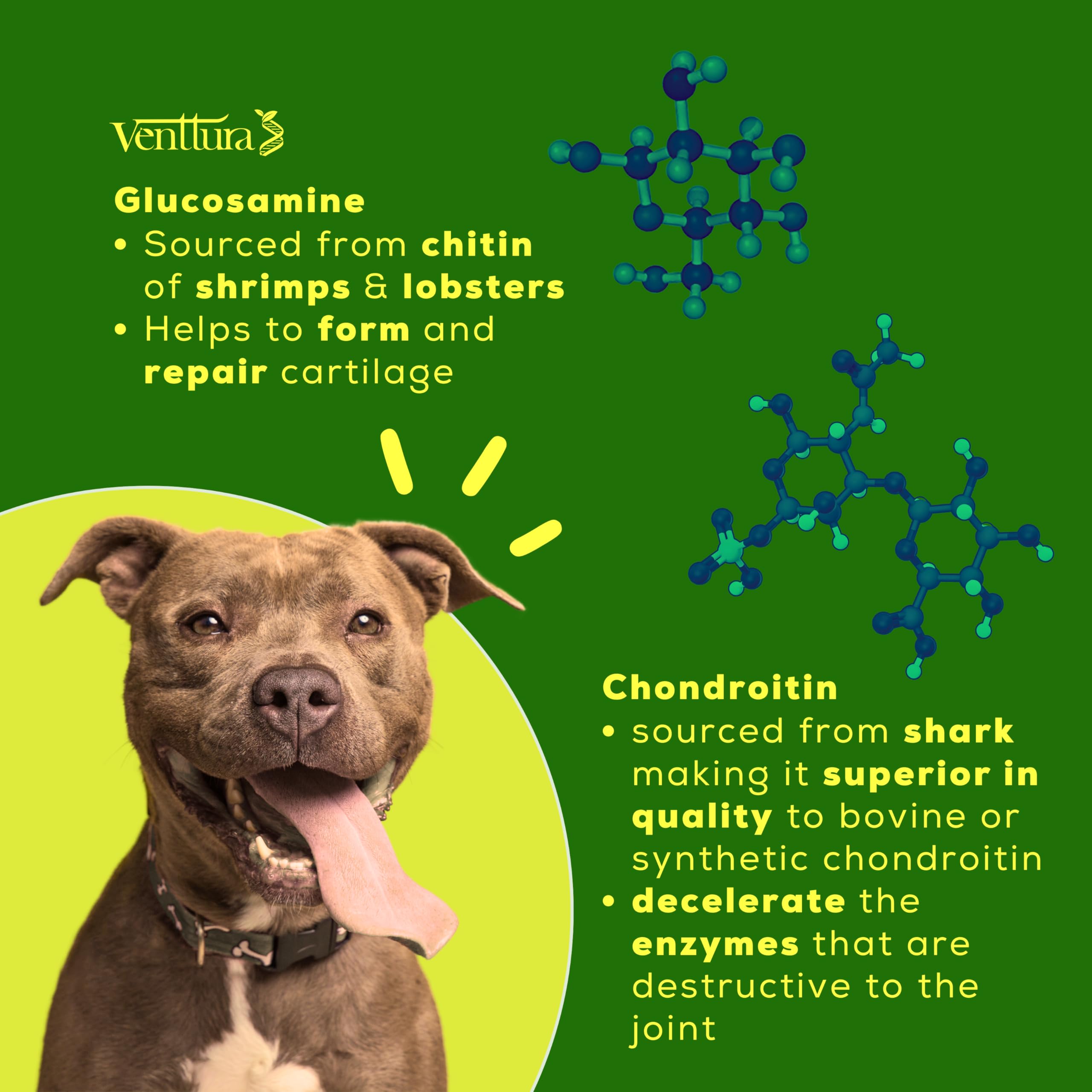 Inhancer Supplement for Dogs | Hip and Joint Supplement | Bone Health Supplement Dog | (340gm) — Amazon image 6