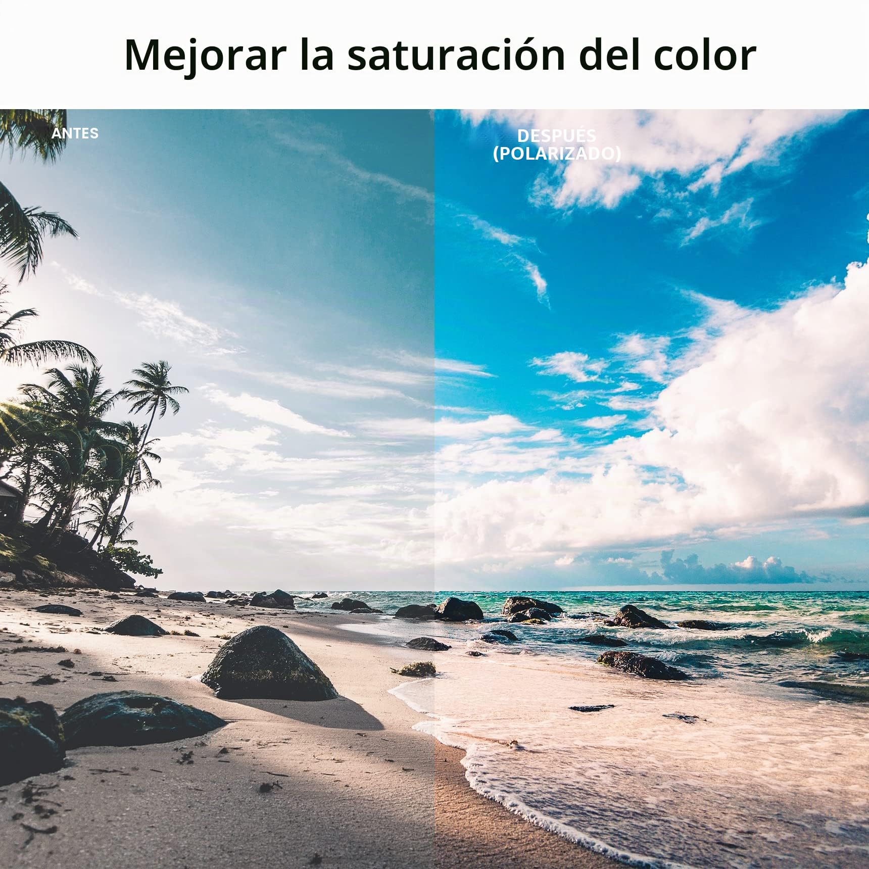 Selens 2 polarizantes de Filtro de polarización Lineal de 20x30 cm para Pantallas, fotografía y educación física