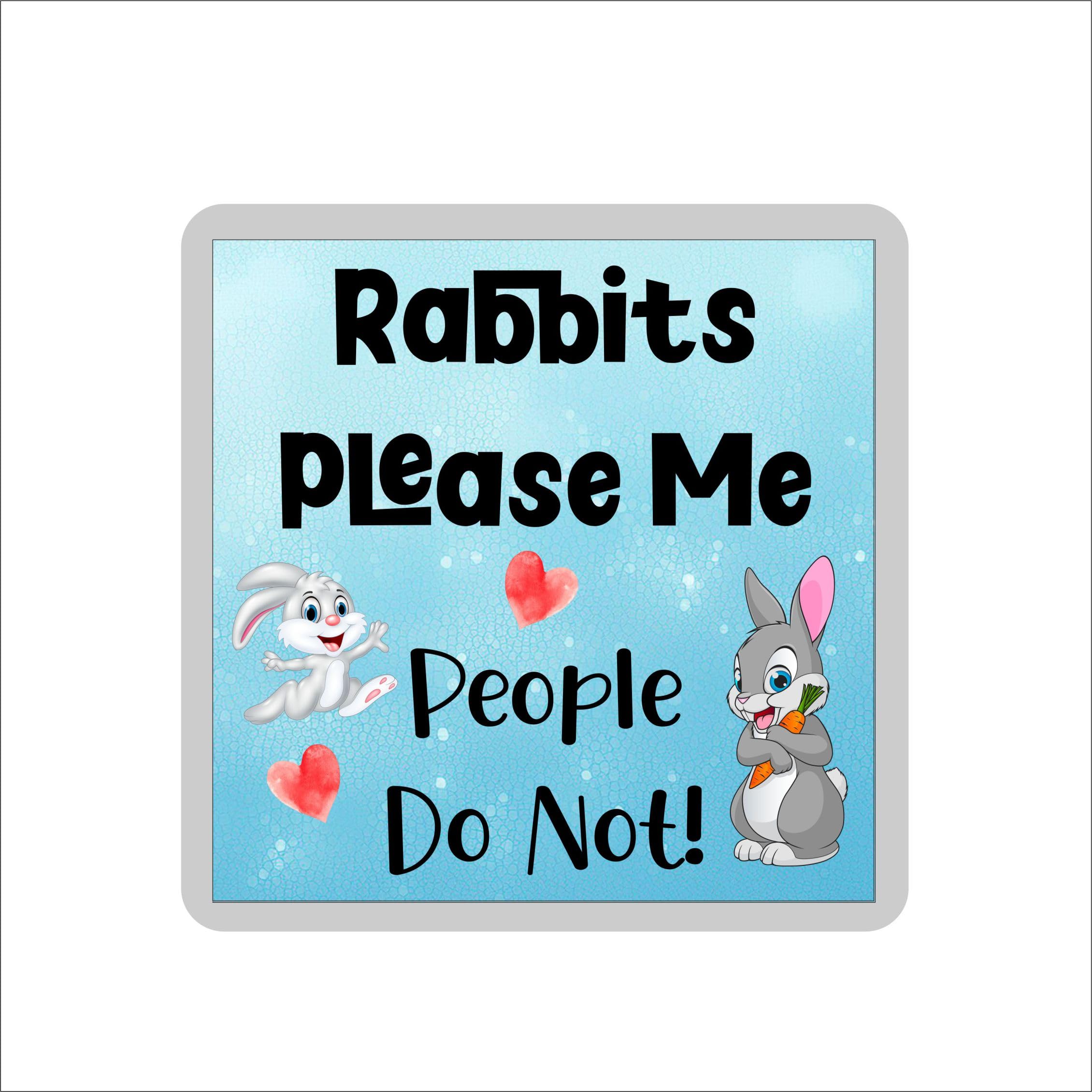 Decalarama Multicolor Rabbit Coaster Gift – Rabbits Please Me People Do Not – Cute Novelty Fun Family Present