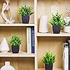 Product Photo 5