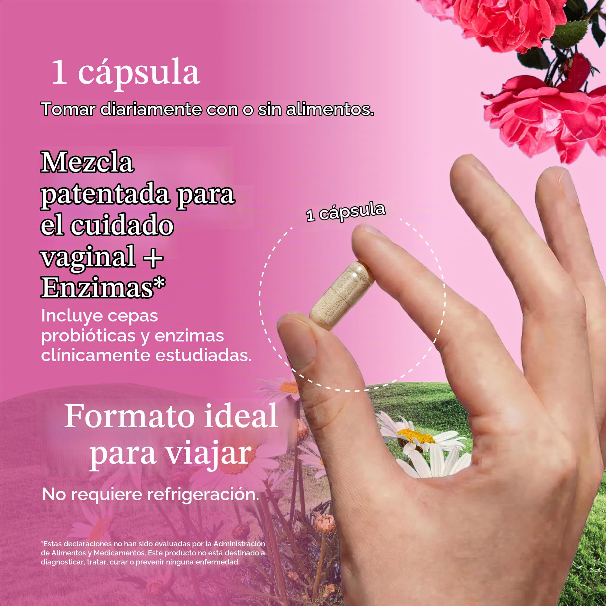 Garden of Life Los Probióticos Cuidado Prima Dentro De La Vagina (No Perecedero) - 30 Vcaps 80 g