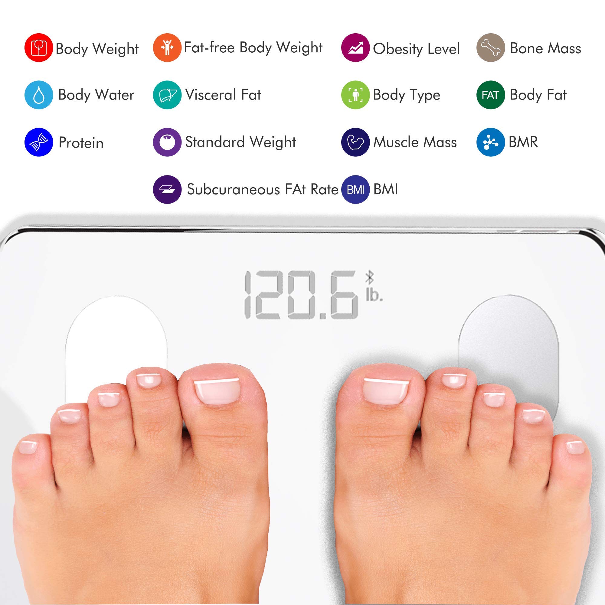 Konquest Báscula de baño digital inteligente, inalámbrico, Bluetooth, BMI, peso corporal, grasa, analizador de composición corporal con aplicación para smartphone (400 libras) (blanco)