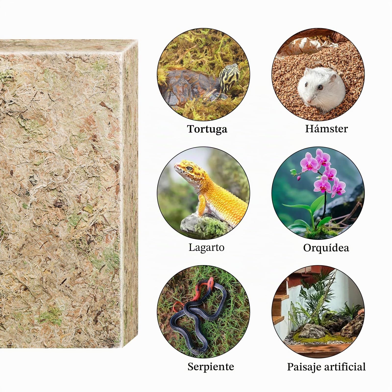 CATELL 190 g de musgo Sphagnum para plantas, terrario, tortuga y plantas de interior