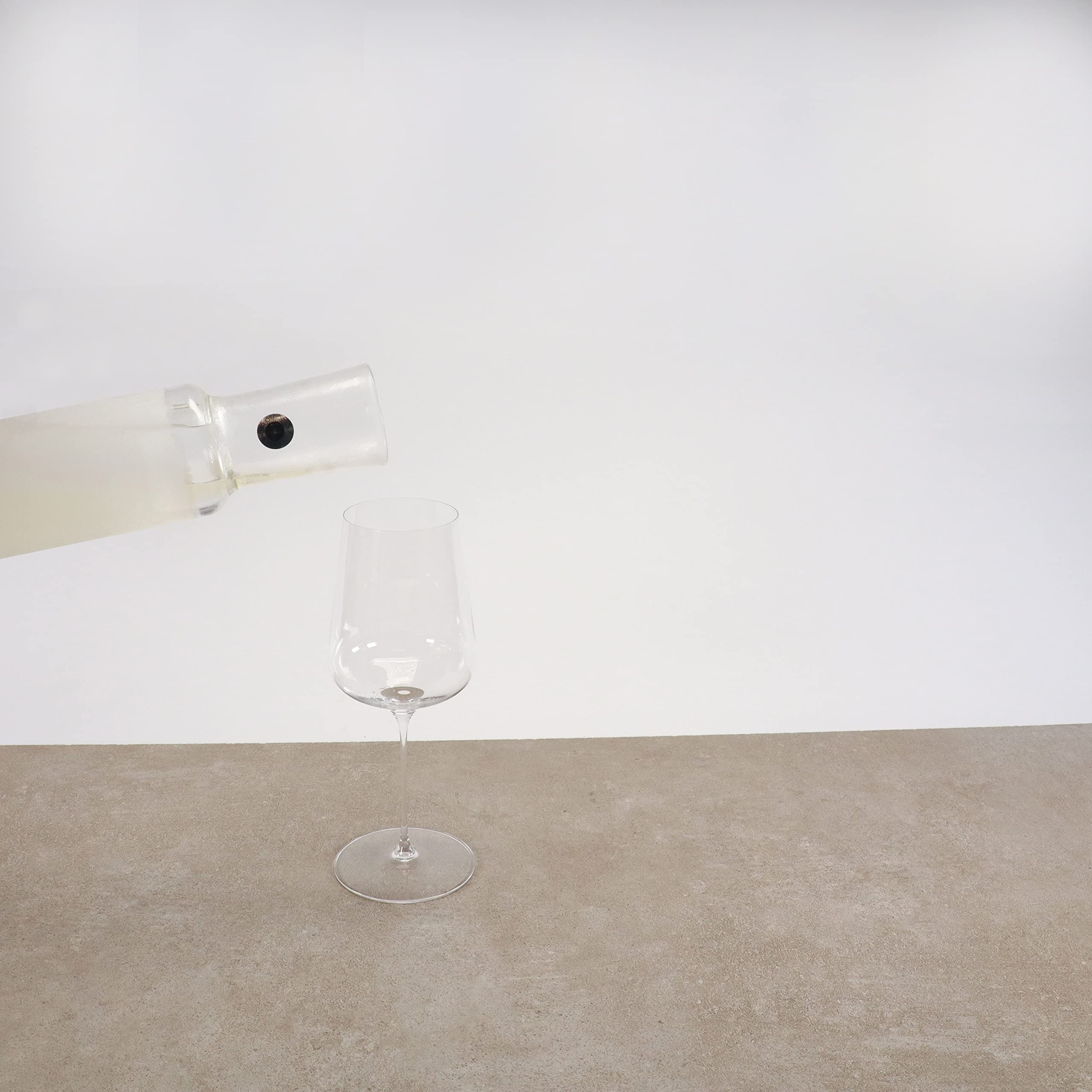 Palatina Werkstatt Eisch - Refrigeratore per bottiglie di vino, champagne e spumante, in soli 5 minuti