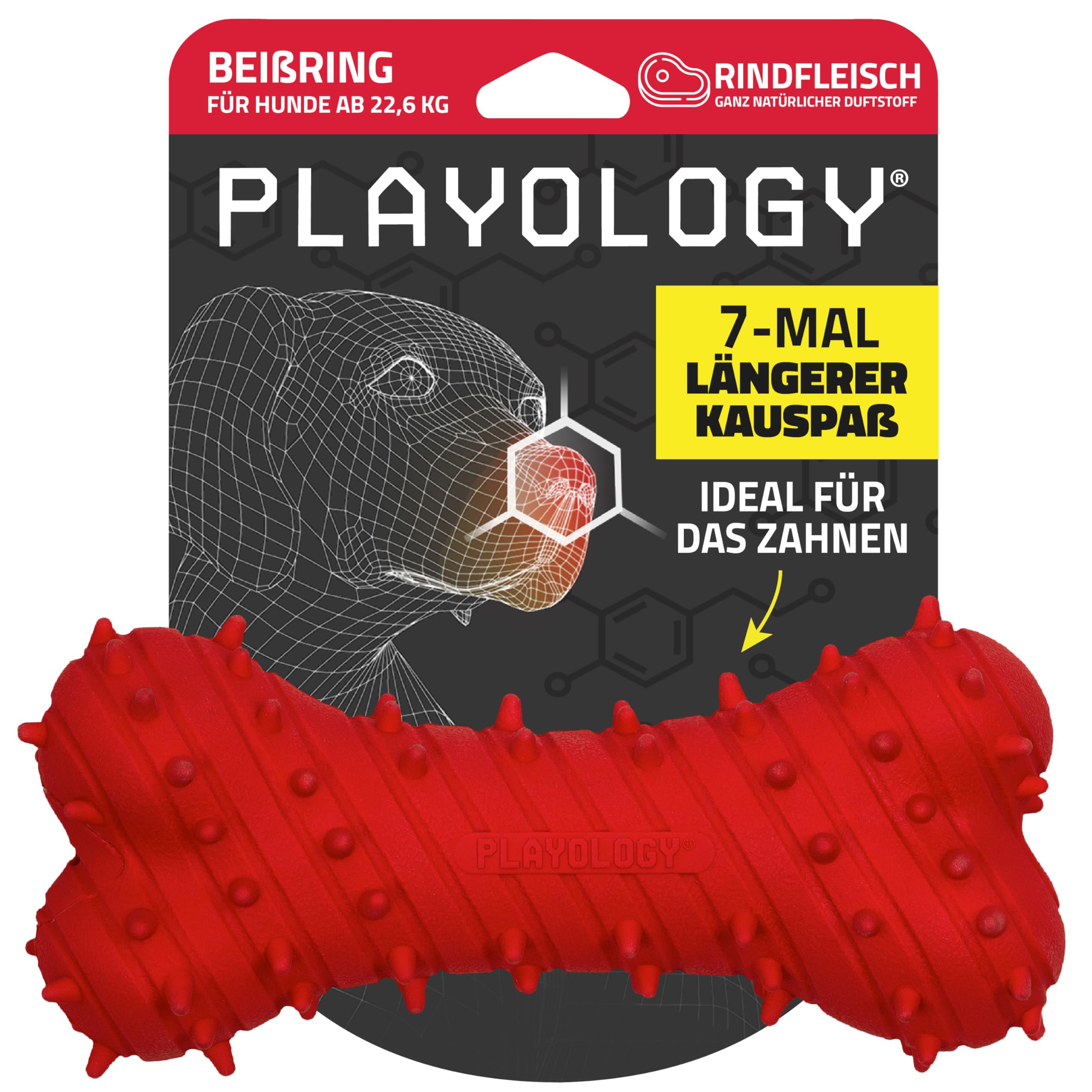 Playology Hundespielzeug | Spielzeug für Welpen in Form eines Kauknochens, entwickelt für Junge und aktive Hunde | Riesiges Spielzeug mit Rindfleischgeschmack, hergestellt aus ungiftigen Materialien | Ideal für Welpen und junge Hunde, Noppen beruhigen das
