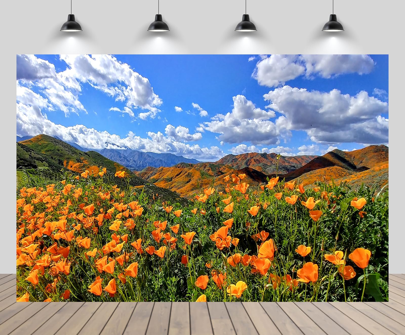 chnywork 5ftx3ft Poppies Fields Backdrop Orange County California Poppies Super Bloom Mountain Clouds Landscape Background America Spring Wedding