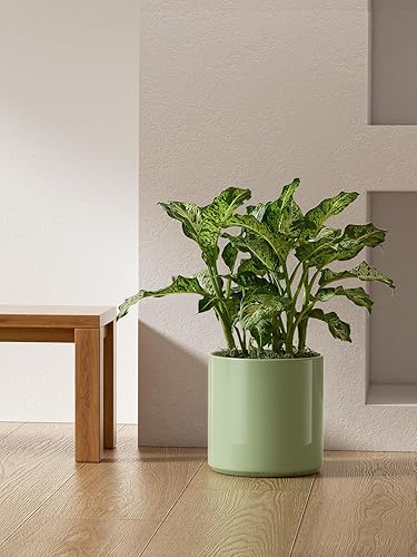 Miniatura 6 de LE TAUCI Macetas de 12 pulgadas para plantas, maceta grande de cerámica para plantas de interior, maceta moderna de mediados de siglo con orificio