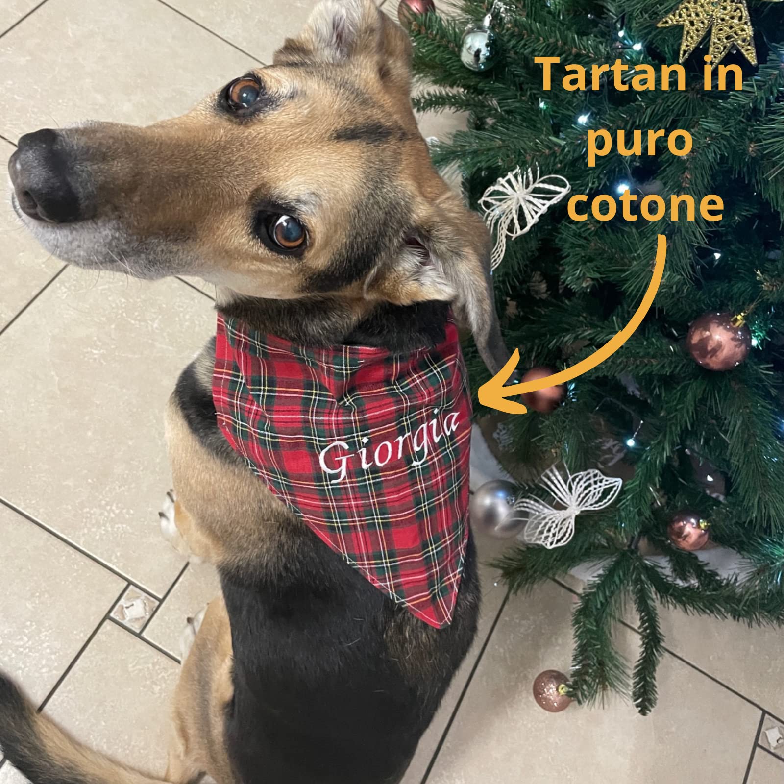 Bandana per cani Personalizzata; Bandana Cani; Amici a quattro zampe; Accessori per cani e gatti