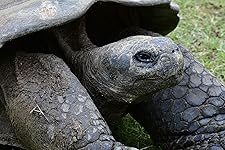 Review Image by Steven Steinberger Steven Steinberger