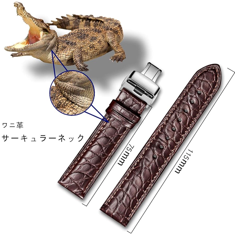 Amazon | Moran本革時計バンド交換ベルト Dバックル18mm 19mm