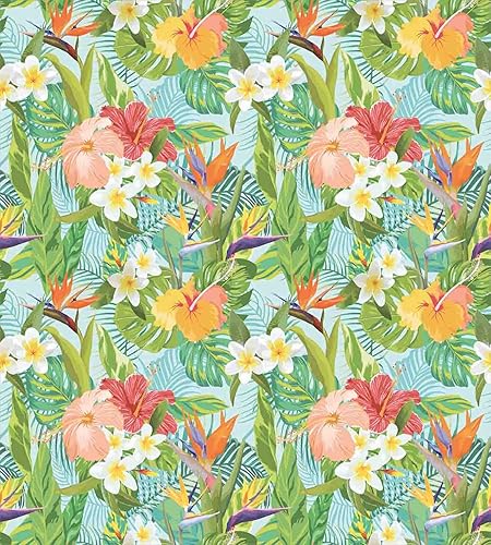 Miniatura 637 de Ambesonne Juego de funda de edredón de brújula, ilustración de mapa del mundo, marinero marítimo, equipo de vida monocromático, juego de ropa