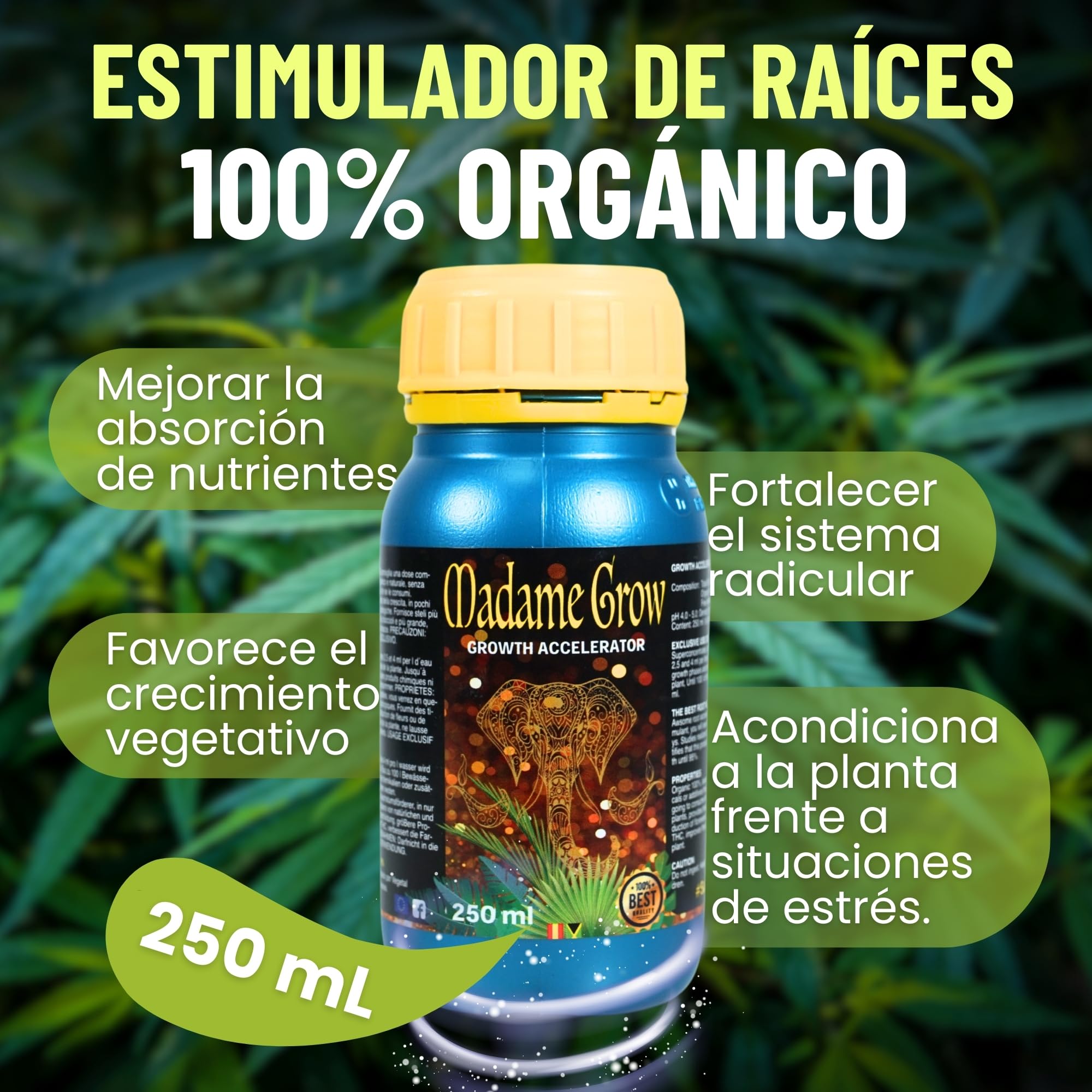 Concime - Radici bianche, lunghe e forti - Crescita perfetta - Formato USA (250 ml)