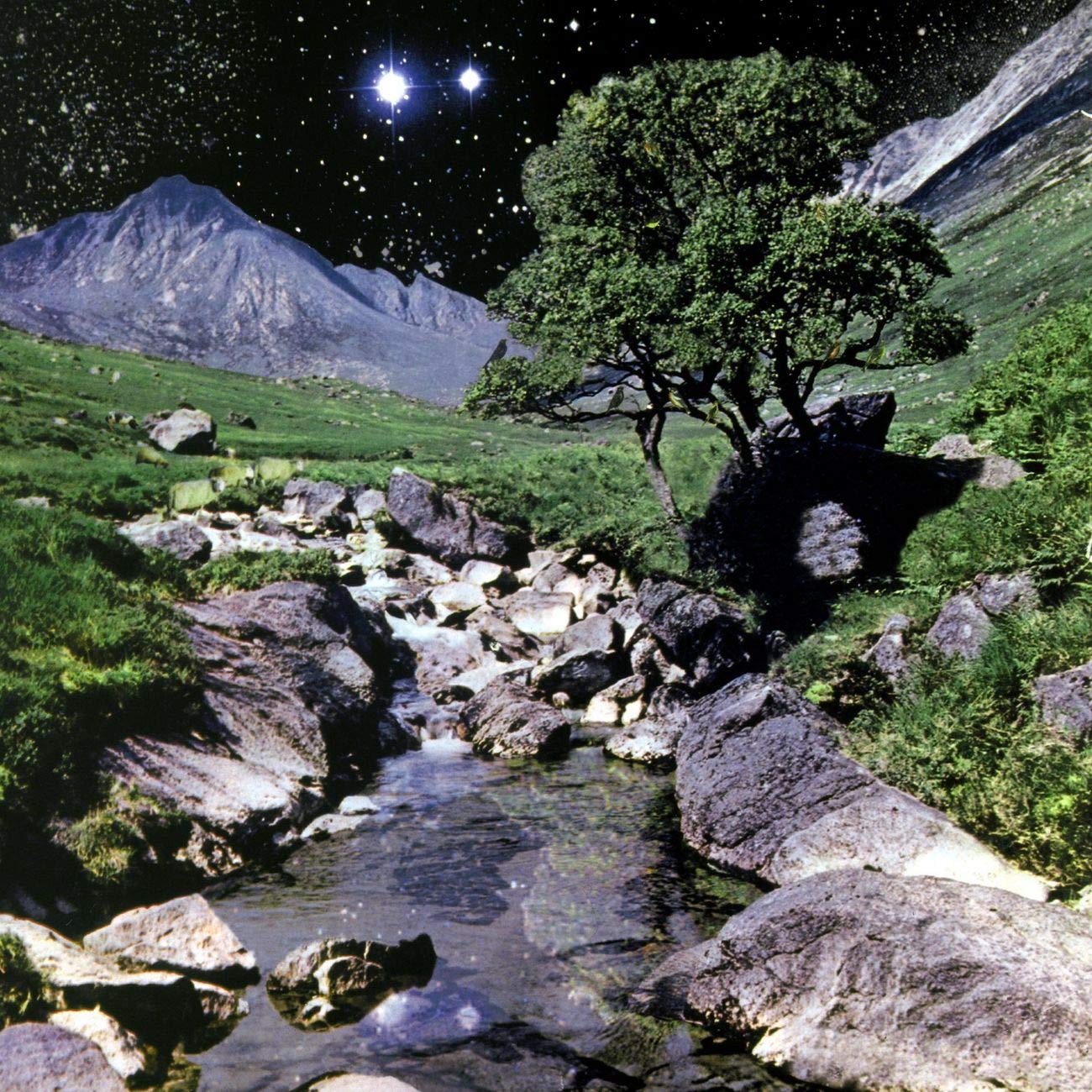 The Beta Band [VINYL]