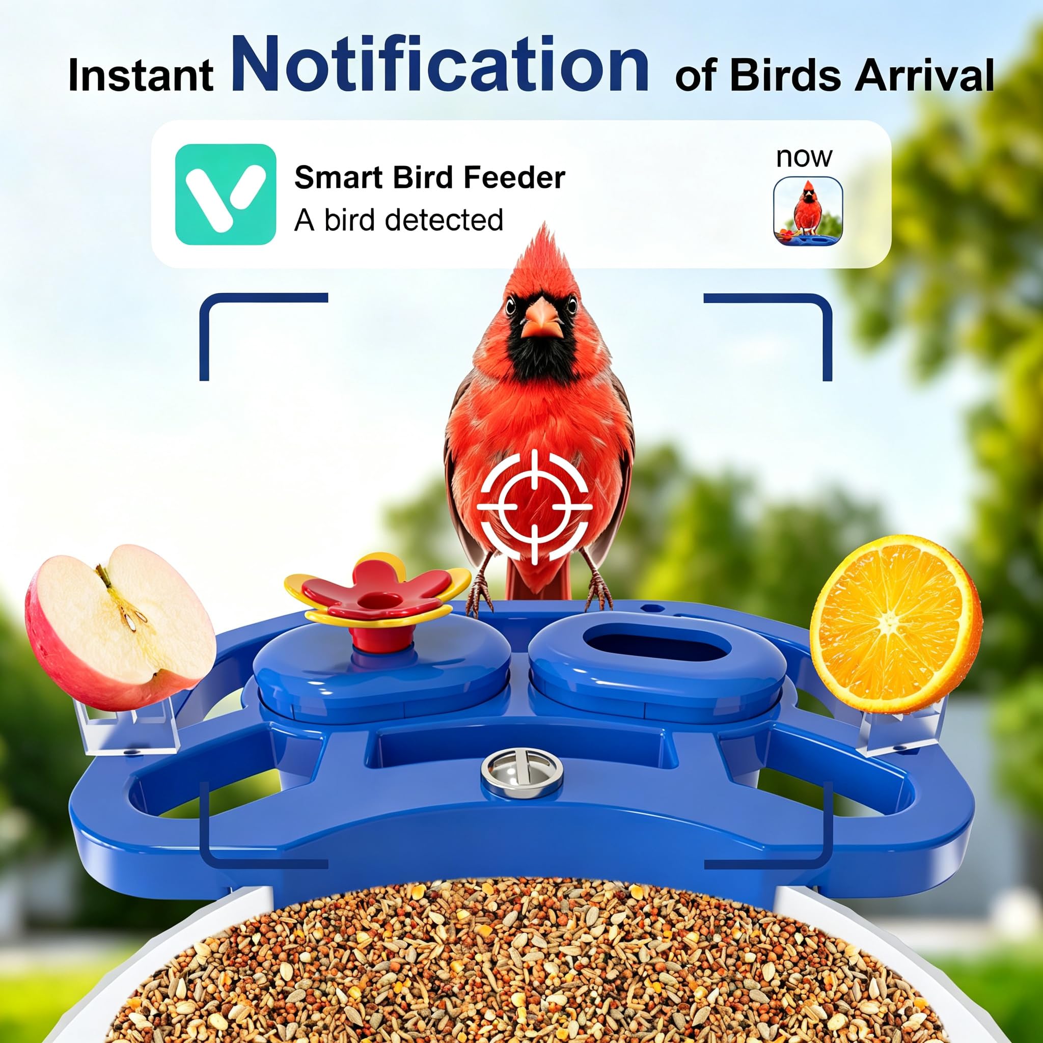 NEEZUKAR Comedero para pájaros con cámara alimentada por energía solar, cámara inteligente para pájaros con reconocimiento de IA, cámara de video HD 2K para observación de aves, diseño resistente a la