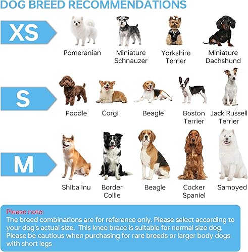 Miniatura 7 de Rodillera para perro para desgarro de la pierna trasera, alivia lesiones de ligamentos y dolor en las articulaciones, soporte ajustable para piernas