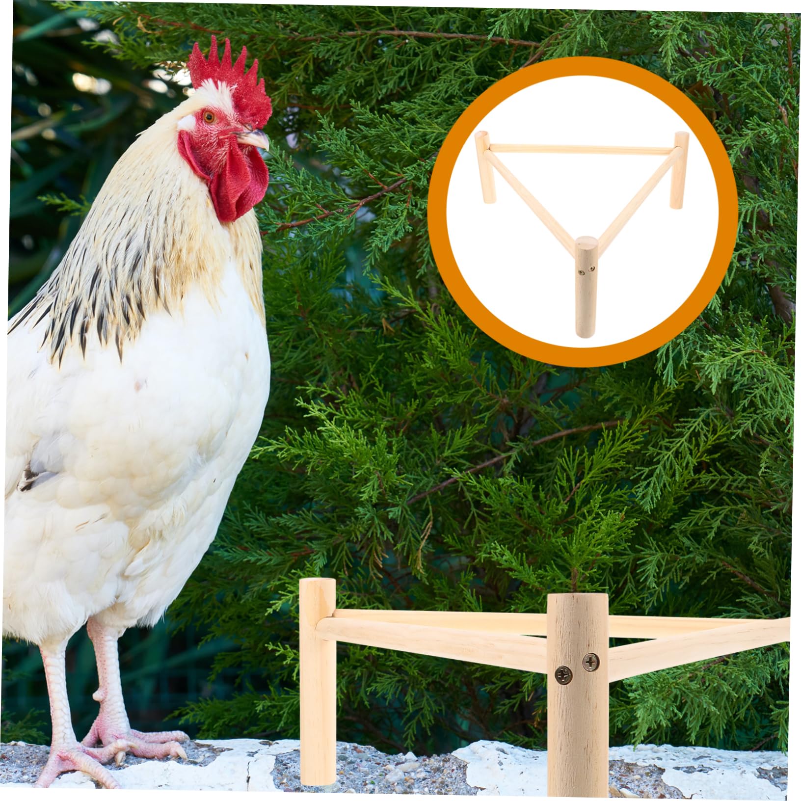 Toddmomy 4 Piezas Soporte de pájaros de Madera cooperativa Perca Extra Columpio de Pollo gallinero Suministro de Mascotas Juguete de Percha de Pollo de pájaros Perca de Pollo Beige