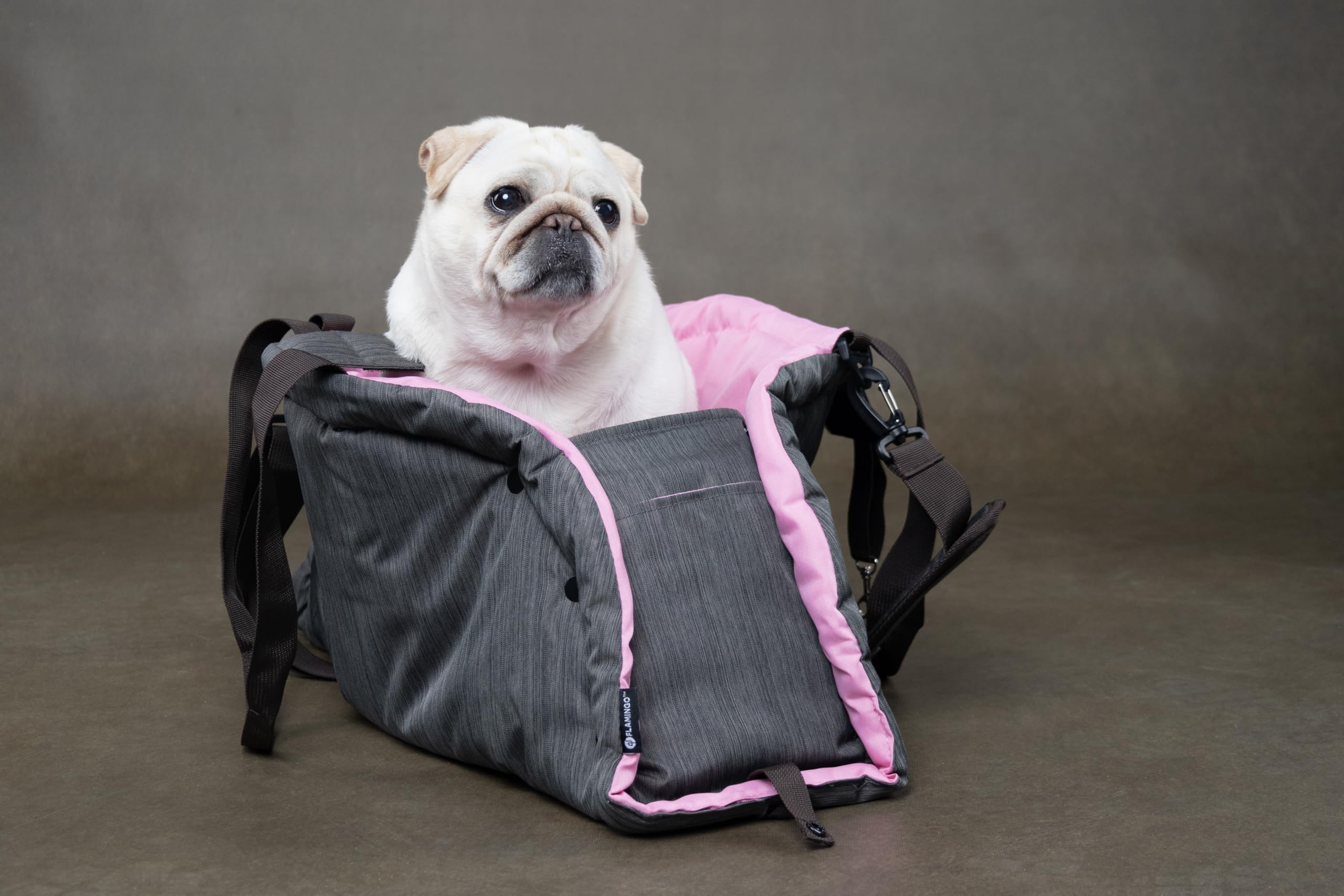 Trasportino per Cani – Gatti – Xenos – Borsa 2 in 1 in Poliestere, Utilizzabile Anche Come Coperta, con Spallacci e Tasca portaoggetti