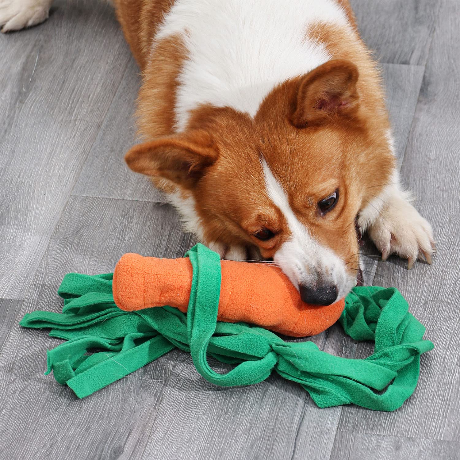 DIY Dog Enrichment Toys You Can Make At Home BARK Post