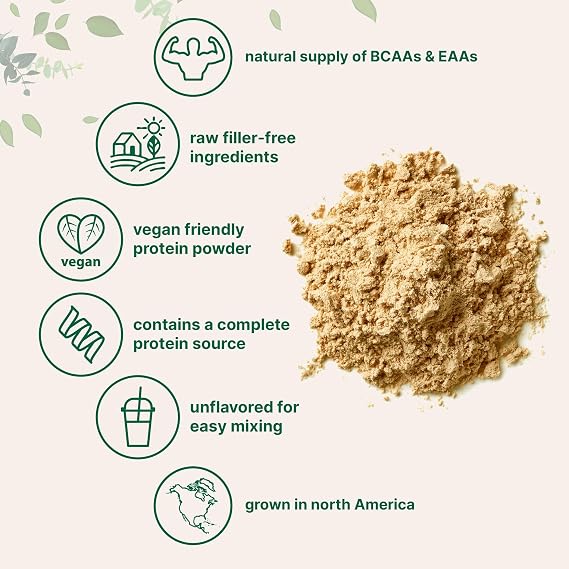 Micro Ingredients North American Grown, Pea Protein Powder, 5 Pounds | Plant Based, Unflavored | Complete Vegan Protein Source with BCAAs & EAAs 27g Serving | Non-GMO, Keto Friendly